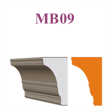 brau MB09 F